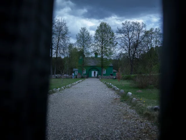 31